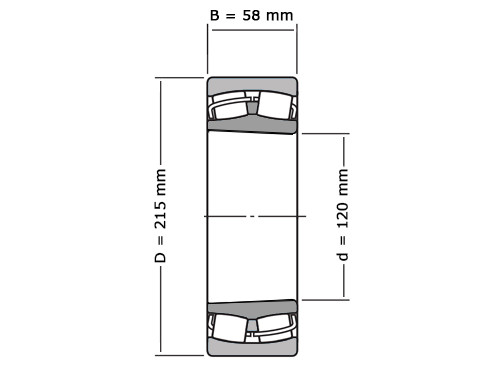 FAG Tonlager Zelfinstellend 22224 Conisch E1A K M (120x215x58mm)