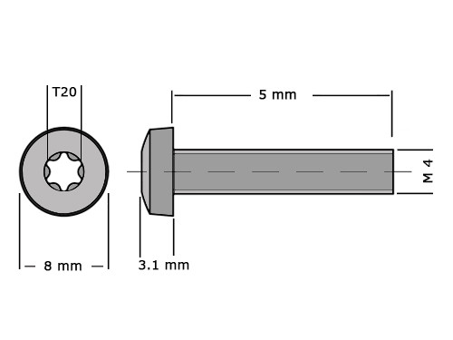 Bolcilinderschroef DIN 7985 M4x5mm T20 RVS A2