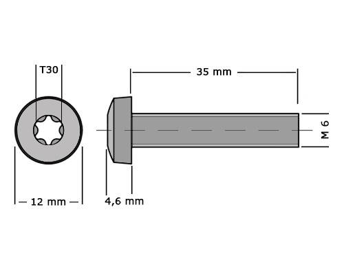 Bolcilinderschroef DIN 7985 M6x35mm T30 RVS A2