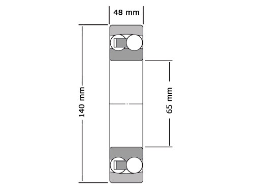 NSK Kogellager Zelfinstellend 2313 Conisch K (65x140x48mm)