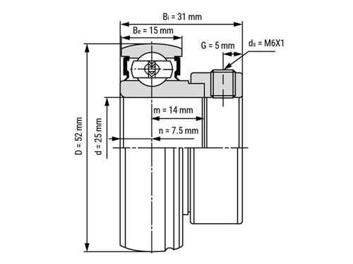 IBB Insert Lager AEL205 (25mm)