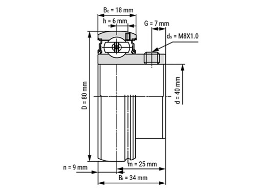 IBB Insert Lager AS208 (40mm)