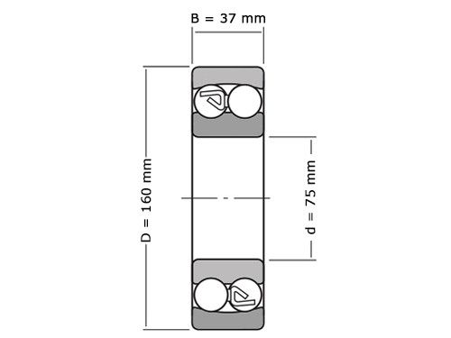 IBB Ball Bearing Self-Aligning 1315 Cylindrical