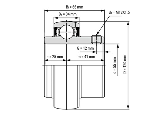 IBB Insert Lager UC311 (55mm)