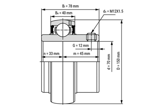 IBB Insert Lager UC314 (70mm)