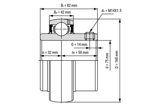 IBB Insert Lager UC315 (75mm)