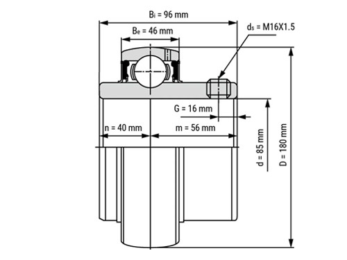 IBB Insert Lager UC317 (85mm)