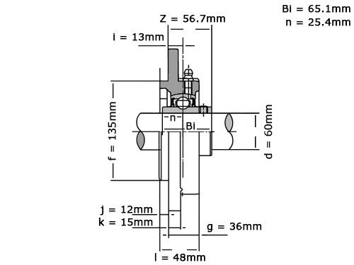 IBB Lagerblok Rond UCFC212 RVS (60mm)