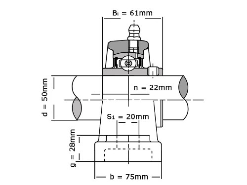 IBB Flange Bearing Standing UCP310 (50mm)