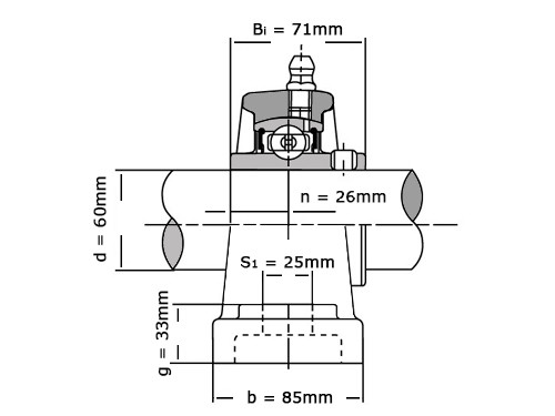 IBB Flange Bearing Standing UCP312 (60mm)