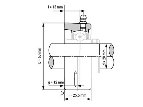 IBB Flenskogellager Ovaal UELFL204 (20mm)