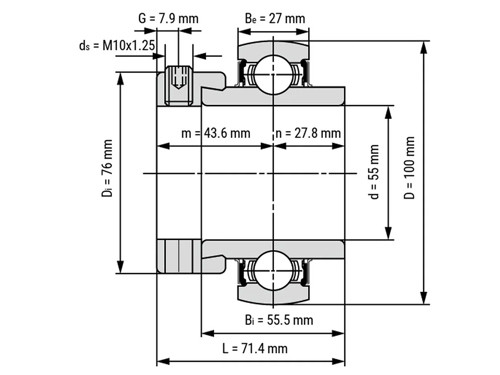 IBB Flenskogellager Ovaal UELFL211 (55mm)