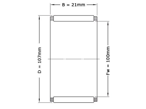 INA Naaldlager K100x107x21 (100x107x21mm)