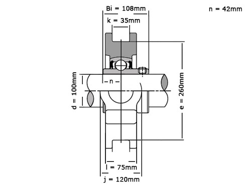 NTN Lagerblok Span UCT320 D1 (100mm)