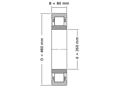 SKF Cilinderlager Eenrijig NU252 MA (260x480x80mm)