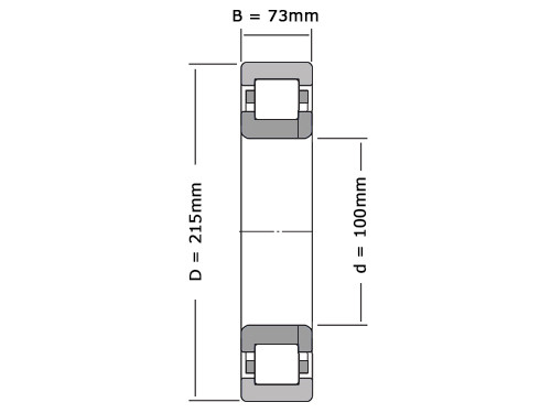 FAG Cilinderlager Eenrijig NUP2320 E M1 C3 (100x215x73mm)