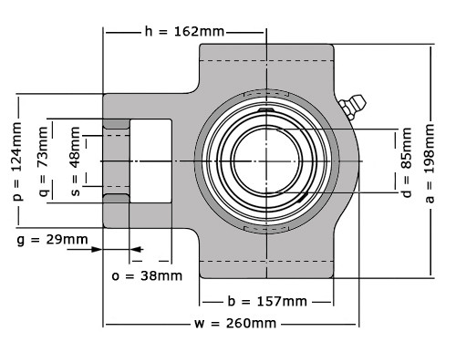 SNR Lagerblok Span UCT217 (85mm)