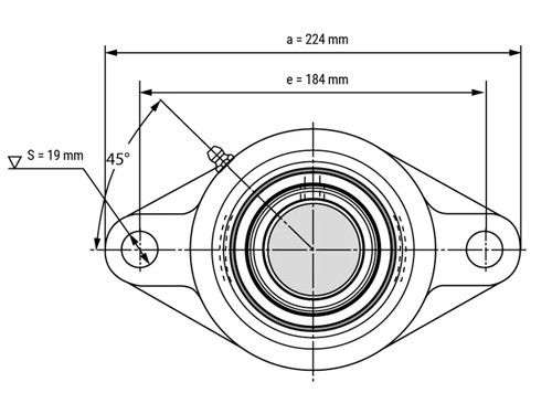 FAG Lagerblok Ovaal UCFL211 (55mm)