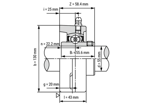FAG Lagerblok Ovaal UCFL211 (55mm)