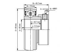 IBB Insert Lager AEL209 (45mm) photo